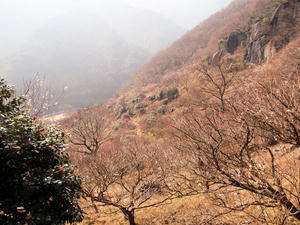 20100226_272shuusei.jpg