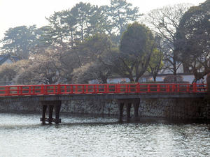 20100226_280shuusei.jpg