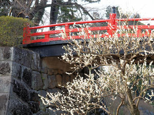20100226_314shuusei.jpg