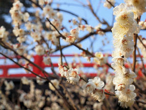 20100226_317shuusei.jpg