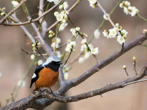 20100226_322shuusei.jpg