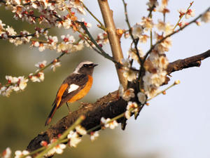 20100226_346shuusei.jpg