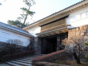 20100226_368shuusei.jpg