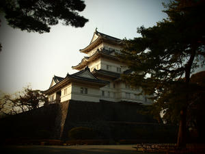 20100226_371shuusei.jpg