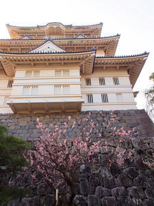 20100226_394shuusei.jpg