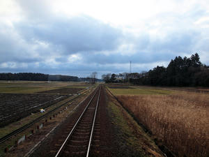 20100304_6shuusei.jpg