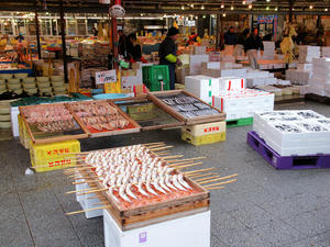 20100304_17shuusei.jpg