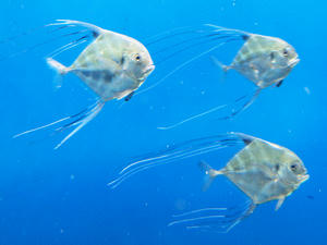20100304_100shuusei.jpg