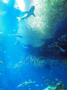 20100304_118shuusei.jpg