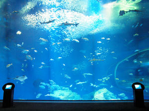 20100304_136shuusei.jpg