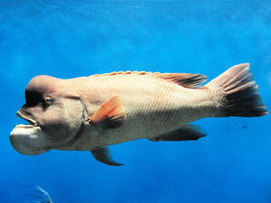 20100304_755shuusei.jpg