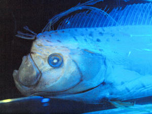 20100304_768shuusei.jpg