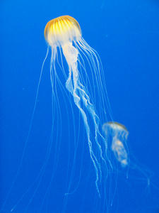20100304_151shuusei.jpg