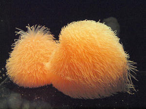 20100304_185shuusei.jpg