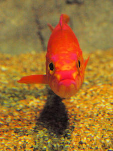 20100304_191shuusei.jpg