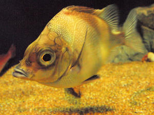 20100304_192shuusei.jpg