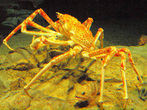 20100304_199shuusei.jpg