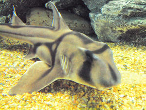 20100304_244shuusei.jpg