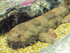 20100304_245shuusei.jpg