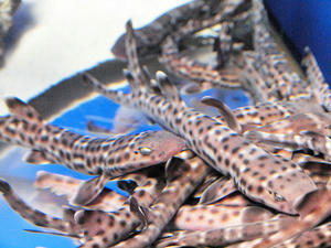 20100304_409shuusei.jpg