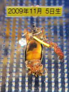 20100304_415shuusei.jpg