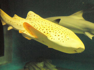 20100304_429shuusei.jpg