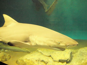 20100304_430shuusei.jpg
