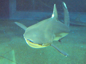 20100304_219shuusei.jpg