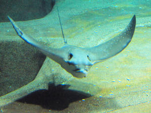 20100304_205shuusei.jpg