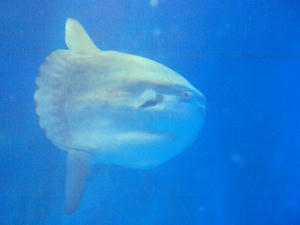 20100304_227shuusei.jpg