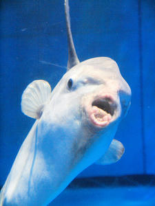20100304_231shuusei.jpg