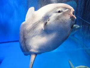 20100304_237shuusei.jpg