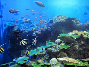 20100304_400shuusei.jpg