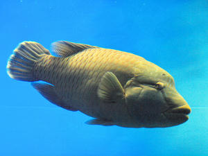 20100304_779shuusei.jpg
