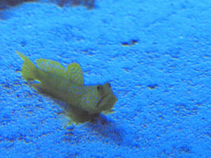 20100304_418shuusei.jpg
