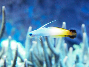 20100304_422shuusei.jpg