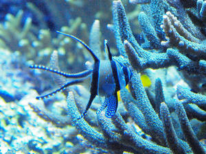 20100304_423shuusei.jpg