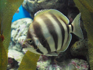 20100304_242shuusei.jpg