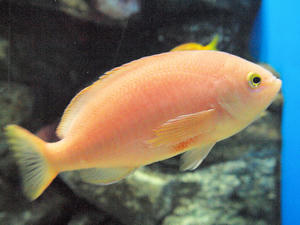 20100304_250shuusei.jpg