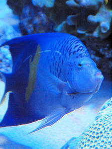 20100304_256shuusei.jpg