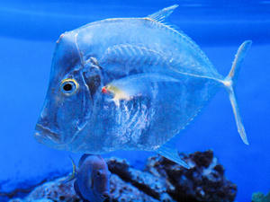 20100304_271shuusei.jpg