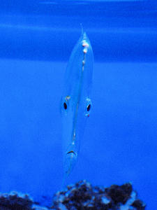 20100304_272shuusei.jpg