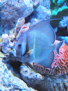 20100304_277shuusei.jpg