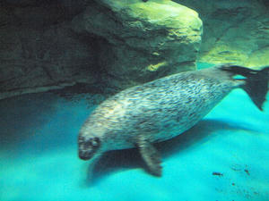 20100304_497shuusei.jpg
