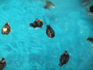20100304_505shuusei.jpg