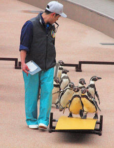 20100304_560shuusei.jpg