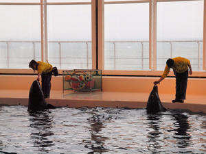 20100304_278shuusei.jpg