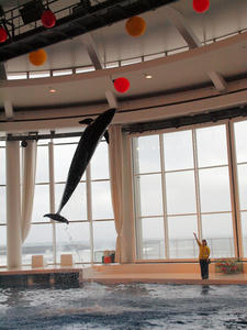 20100304_283shuusei.jpg