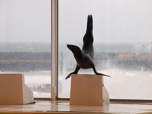 20100304_289shuusei.jpg