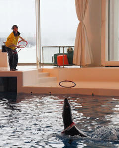 20100304_312shuusei.jpg